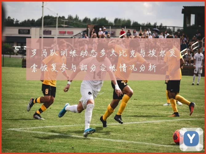 罗马队训练动态多夫比克与埃尔莫索恢复参与部分合练情况分析