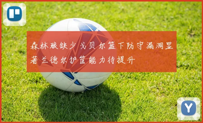 森林狼缺少戈贝尔篮下防守漏洞显著兰德尔护筐能力待提升