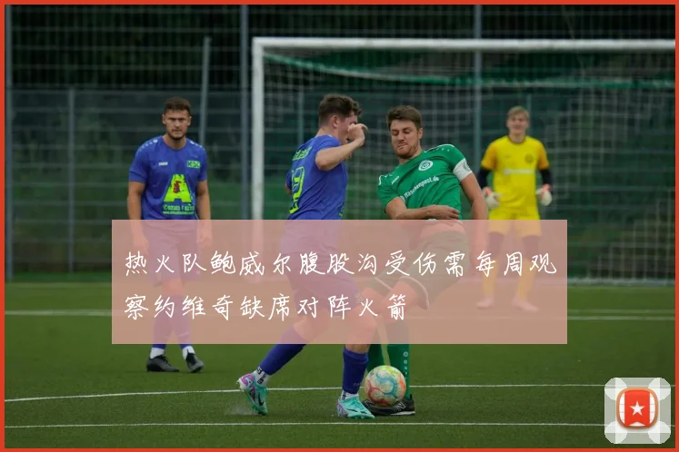 热火队鲍威尔腹股沟受伤需每周观察约维奇缺席对阵火箭